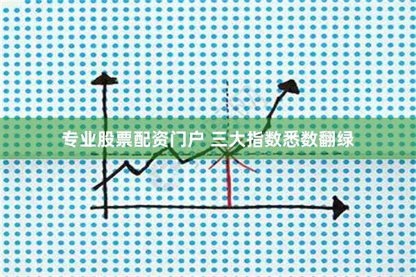 专业股票配资门户 三大指数悉数翻绿