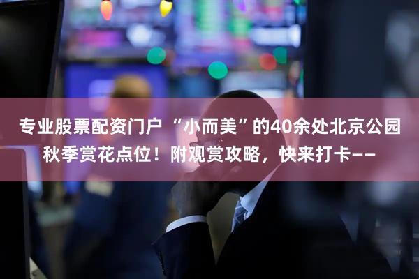 专业股票配资门户 “小而美”的40余处北京公园秋季赏花点位！附观赏攻略，快来打卡——