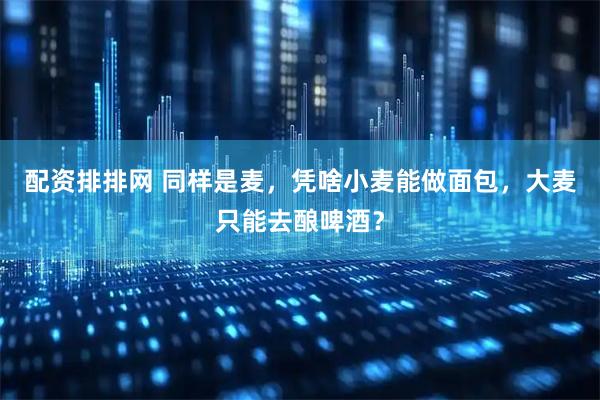 配资排排网 同样是麦，凭啥小麦能做面包，大麦只能去酿啤酒？