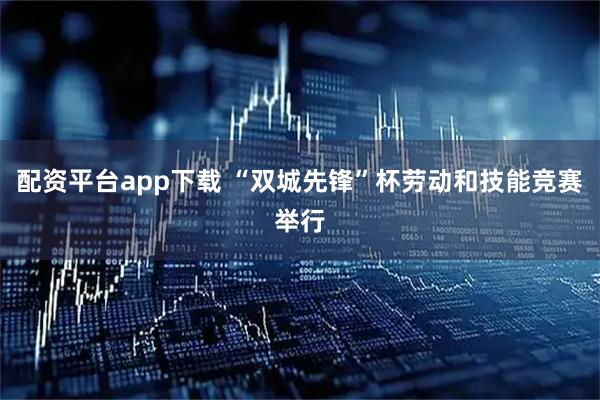 配资平台app下载 “双城先锋”杯劳动和技能竞赛举行