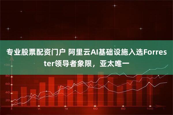 专业股票配资门户 阿里云AI基础设施入选Forrester领导者象限，亚太唯一