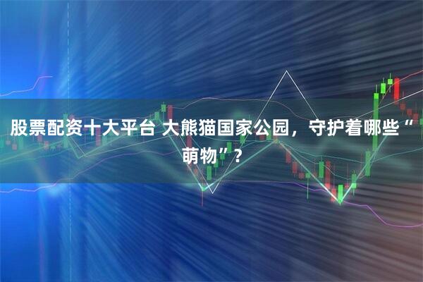 股票配资十大平台 大熊猫国家公园，守护着哪些“萌物”？